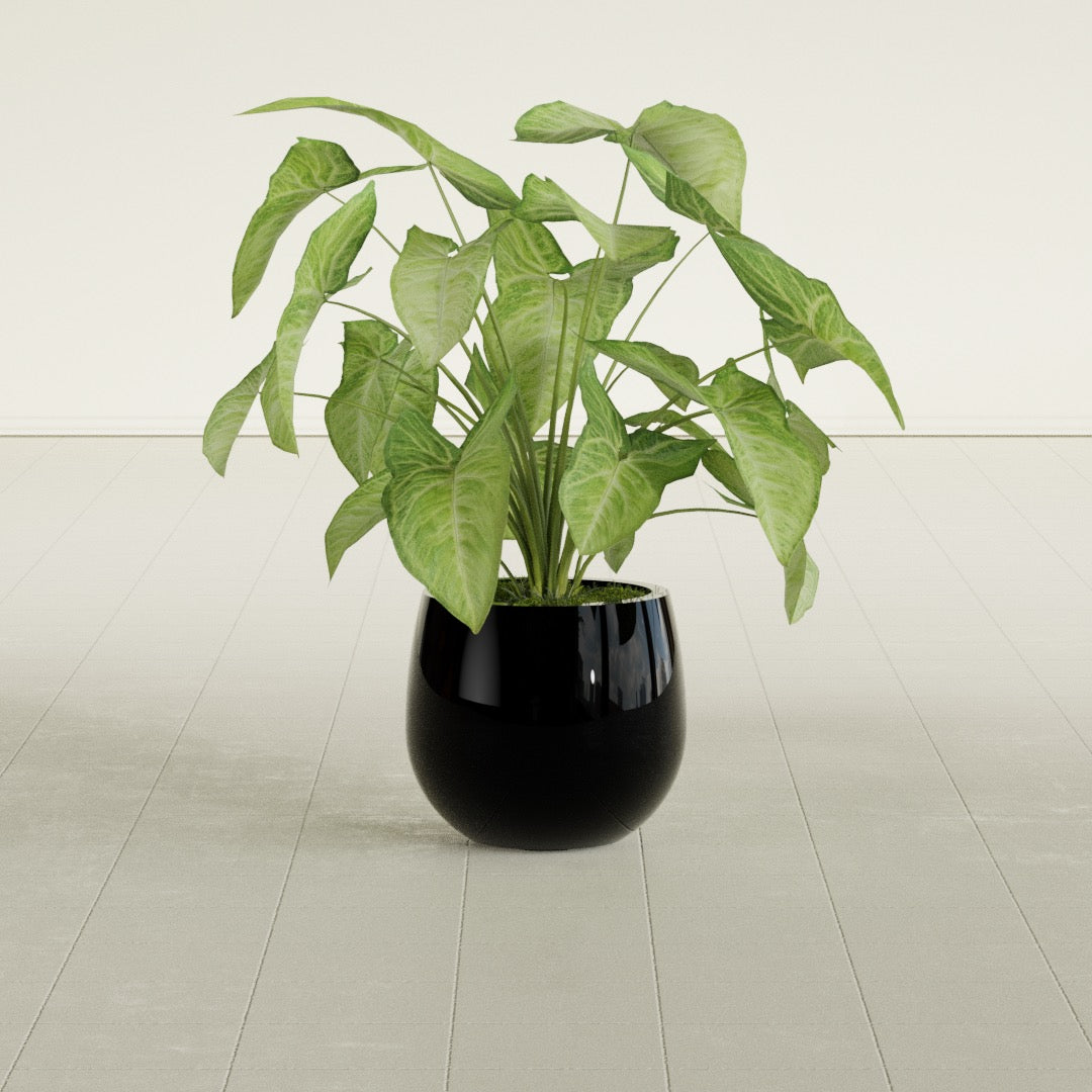 Westfield - 10in diam. x 9in - Gloss Black - Gloss Black,10 in diam. x 9 in H