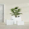 Seoul Large Curved Abstract Fiberglass Planter - 36 in x 16 in x 24 in - Gloss White - Gloss White,36 in x 16 in x 24 in