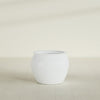 Fishbowl Medium Round Fiberglass Planter - 21.5 in x 21.5 in x 19 in - Matte White - Matte White,21.5 in x 21.5 in x 19 in
