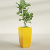 Toulan Large Tall Tapered Square Fiberglass Planter - 18 in x 18 in x 36 in - Gloss Saffron - Gloss Saffron,18 in x 18 in x 36 in
