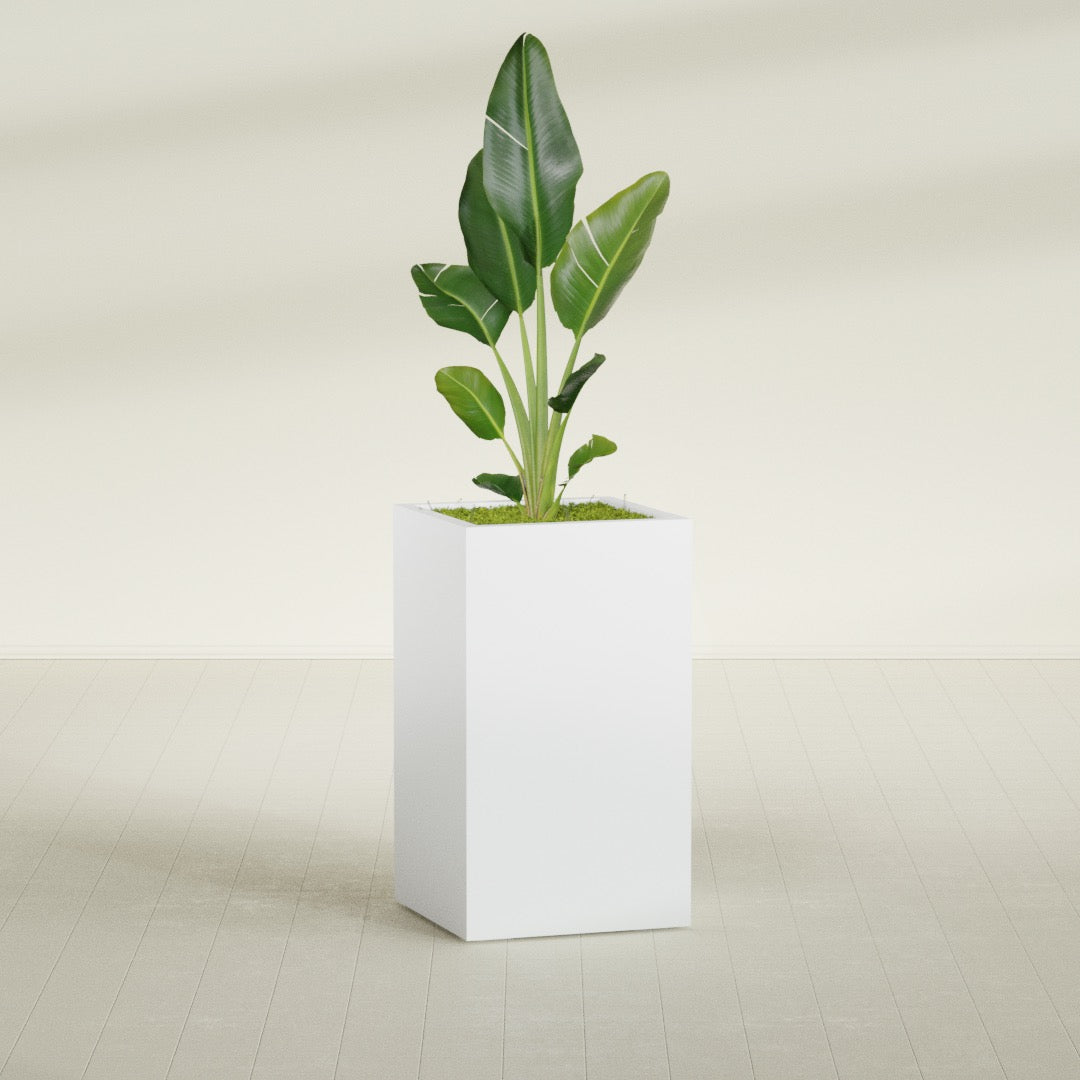 Darwin Large Tall Rectangle Fiberglass Planter - 24 in x 24 in x 42 in - Gloss White - Gloss White,24 in x 24 in x 42 in