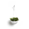 Hanging Brussels Small Bowl Planter - 13 in x 13 in x 6.5 in - Pure White - Pure White,13 in x 13 in x 6.5 in