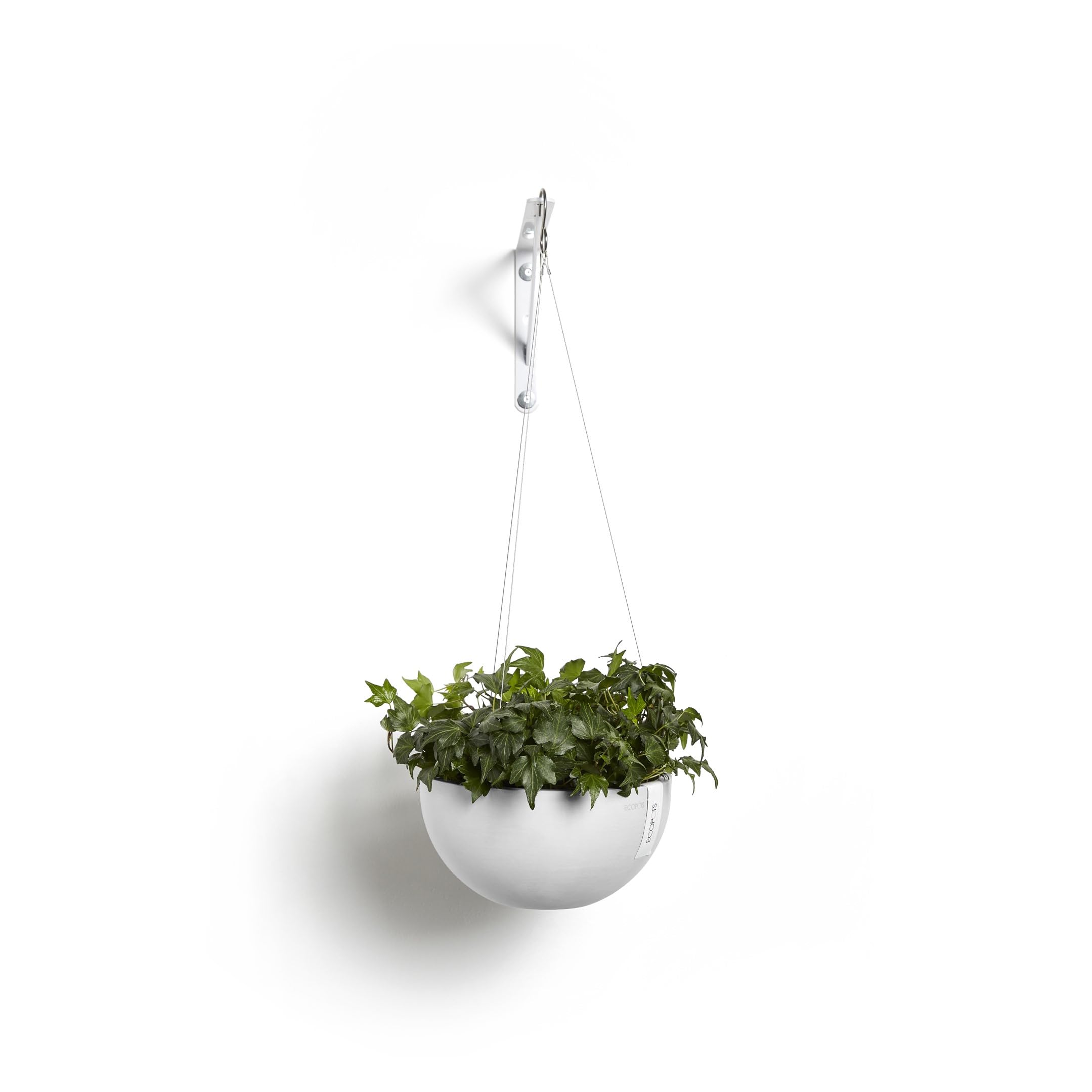 Hanging Brussels Small Bowl Planter - 13 in x 13 in x 6.5 in - Pure White - Pure White,13 in x 13 in x 6.5 in