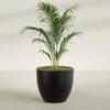 Wannsee Large Round Fiberglass Planter - 39 in x 39 in x 34 in - Matte Black - Matte Black,39 in x 39 in x 34 in