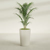 Tegel Medium Round Fiberglass Planter - 18 in x 18 in x 26 in - Satin Beige - Satin Beige,18 in x 18 in x 26 in