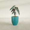 Valencia Small Round Fiberglass Planter - 15 in x 15 in x 18 in - Satin Sea Foam - Satin Sea Foam,15 in x 15 in x 18 in