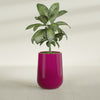 Tall Hayden Medium Round Fiberglass Planter - 15 in x 15 in x 23 in - Gloss Eggplant - Gloss Eggplant,15 in x 15 in x 23 in