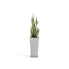 Rotterdam Medium Tall Square Planter - 12.6 in x 12.6 in x 27.5 in - Planter + Saucer - White Grey - White Grey,12.5 in x 12.5 in x 27.5 in,Planter + Saucer