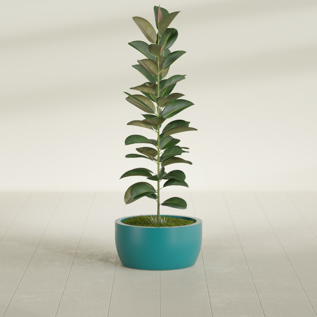 Casablanca Medium Round Low Bowl Fiberglass Planter - 20 in x 20 in x 10 in - Satin Sea Foam - Satin Sea Foam,20 in x 20 in x 10 in