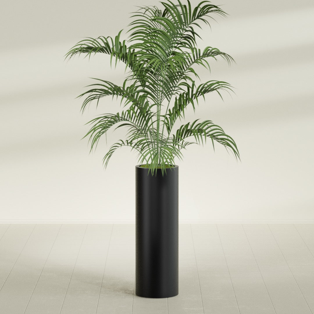 Corry Large Tall Cylinder Fiberglass Planter - 12 in x 12 in x 36 in - Matte Black - Matte Black,30 in x 30 in x 32 in