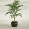 Fishbowl Small Round Fiberglass Planter - 16 in x 16 in x 14 in - Matte Brown - Matte Brown,16 in x 16 in x 14 in
