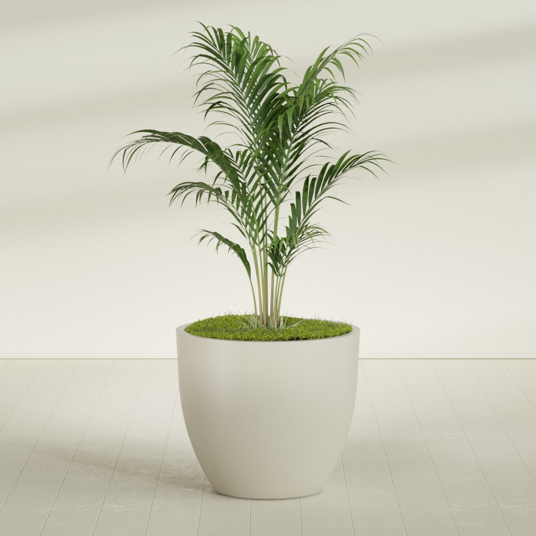 Wannsee Large Round Fiberglass Planter - 44 in x 44 in x 39 in - Satin Beige - Satin Beige,44 in x 44 in x 39 in