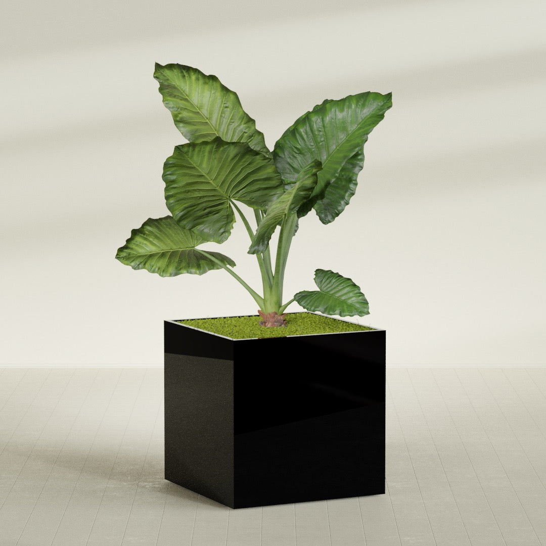 Montroy Extra Large Cube Square Fiberglass Planter - 48 in x 48 in x 48 in - Gloss Black - Gloss Black,48 in x 48 in x 48 in