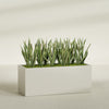 Granada Extra Large Long Rectangle Fiberglass Planter - 60 in x 24 in x 24 in - Satin Beige - Satin Beige,60 in x 24 in x 24 in