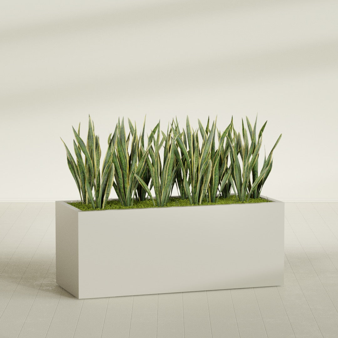 Granada Extra Large Long Rectangle Fiberglass Planter - 60 in x 24 in x 24 in - Satin Beige - Satin Beige,60 in x 24 in x 24 in