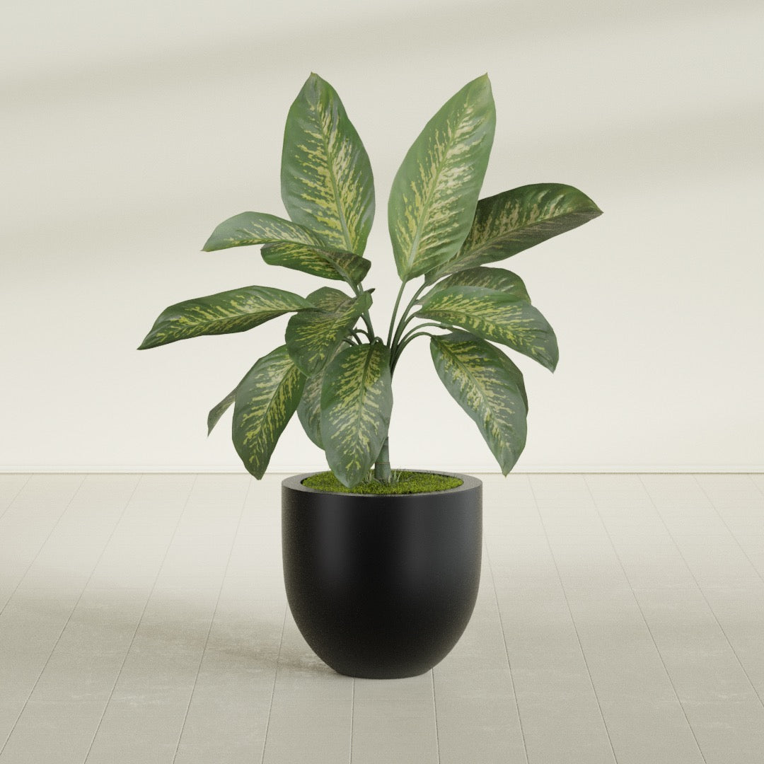Alzira Medium Round Fiberglass Planter - 23 in x 23 in x 22 in - Matte Black - Matte Black,23 in x 23 in x 22 in