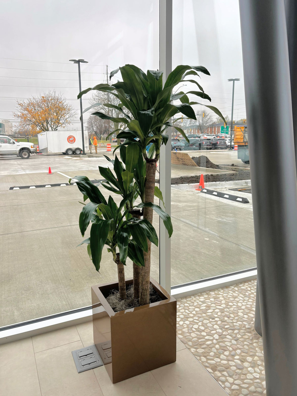 Interiorscaping Helps Create Welcoming Environment at Central Illinois Car Dealership – photo 9
