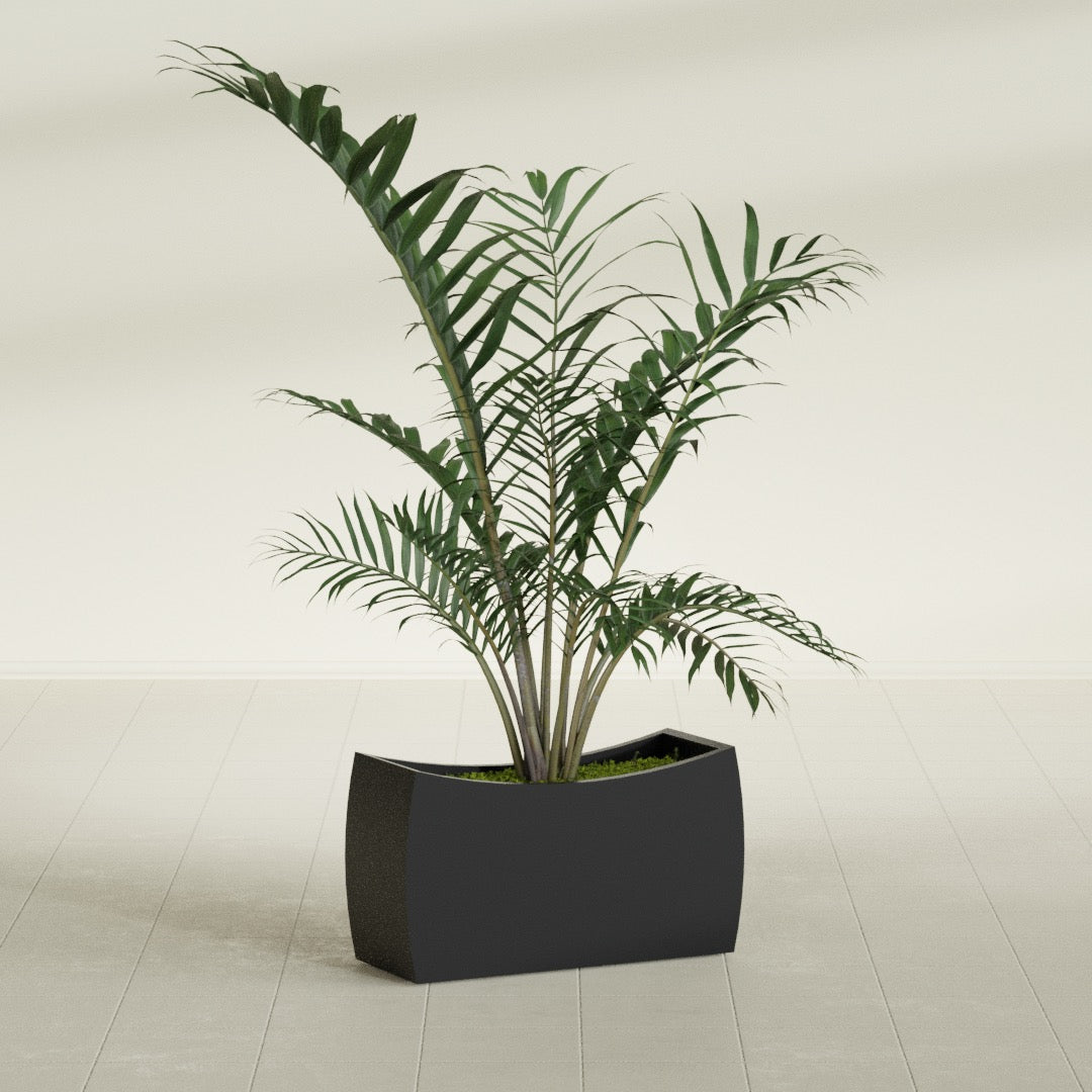 Seoul Large Curved Abstract Fiberglass Planter - 32 in x 12 in x 18 in - Matte Black - Matte Black,32 in x 12 in x 18 in