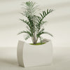 Seoul Extra Large Curved Abstract Fiberglass Planter - 48 in x 20 in x 36 in - Satin Beige - Satin Beige,48 in x 20 in x 36 in