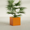 Montroy Medium Cube Square Fiberglass Planter - 28 in x 28 in x 28 in - Gloss Tangerine - Gloss Tangerine,28 in x 28 in x 28 in