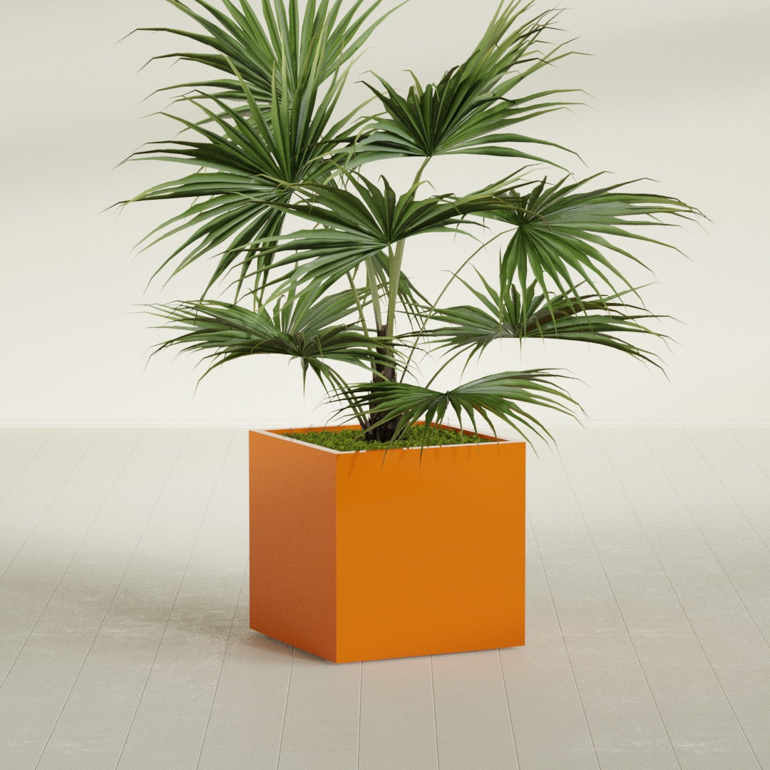 Montroy Medium Cube Square Fiberglass Planter - 28 in x 28 in x 28 in - Gloss Tangerine - Gloss Tangerine,28 in x 28 in x 28 in