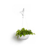 Hanging Brussels Small Bowl Planter - 13 in x 13 in x 6.5 in - Pure White - Pure White,13 in x 13 in x 6.5 in