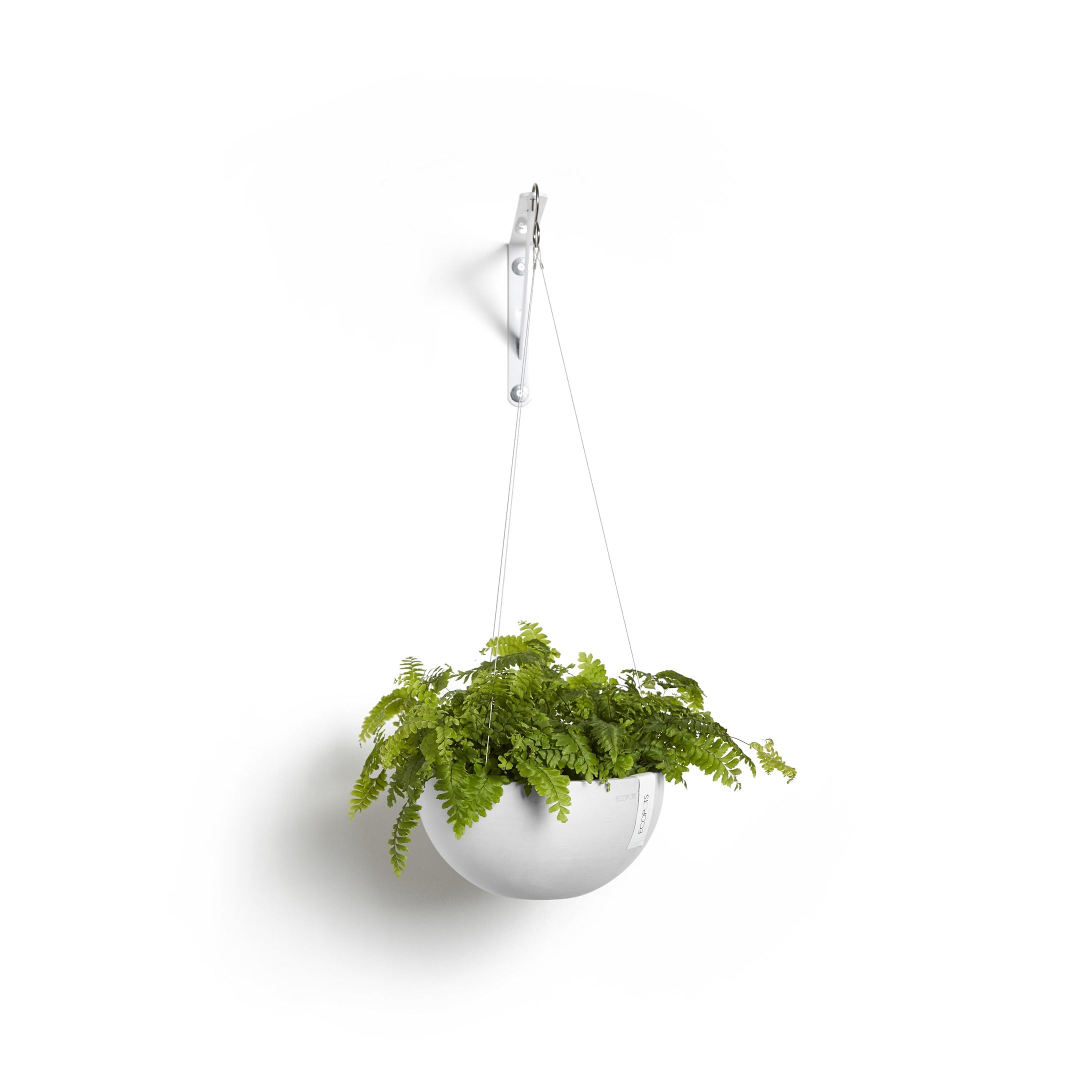 Hanging Brussels Small Bowl Planter - 13 in x 13 in x 6.5 in - Pure White - Pure White,13 in x 13 in x 6.5 in
