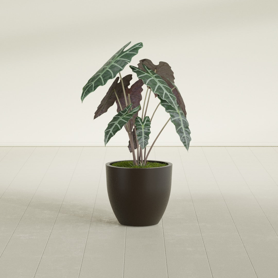 Wannsee Medium Round Fiberglass Planter - 22 in x 22 in x 19 in - Matte Brown - Matte Brown,22 in x 22 in x 19 in