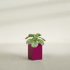 Miami Small Rectangle Fiberglass Planter - 12 in x 12 in x 18 in - Gloss Eggplant - Gloss Eggplant,12 in x 12 in x 18 in