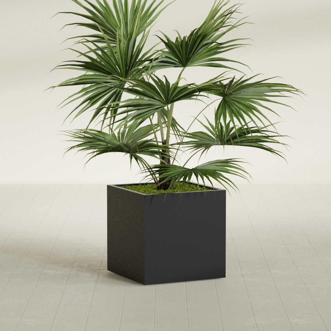 Montroy Medium Cube Square Fiberglass Planter - 28 in x 28 in x 28 in - Matte Black - Matte Black,28 in x 28 in x 28 in