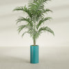 Corry Medium Tall Cylinder Fiberglass Planter - 10 in x 10 in x 20 in - Satin Sea Foam - Satin Sea Foam,10 in x 10 in x 20 in