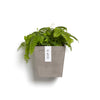 Manhattan Small Rectangle Wall Planter - 6 in x 6.75 in x 6 in - Taupe - Taupe,6 in x 6.75 in x 6 in