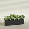 Miami Extra Large Narrow Rectangle Fiberglass Planter - 60 in x 12 in x 18 in - Matte Black - Matte Black,60 in x 12 in x 18 in