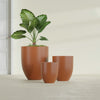 Valencia Medium Round Fiberglass Planter - 20 in x 20 in x 23 in - Matte Terracotta - Matte Terracotta,20 in x 20 in x 23 in