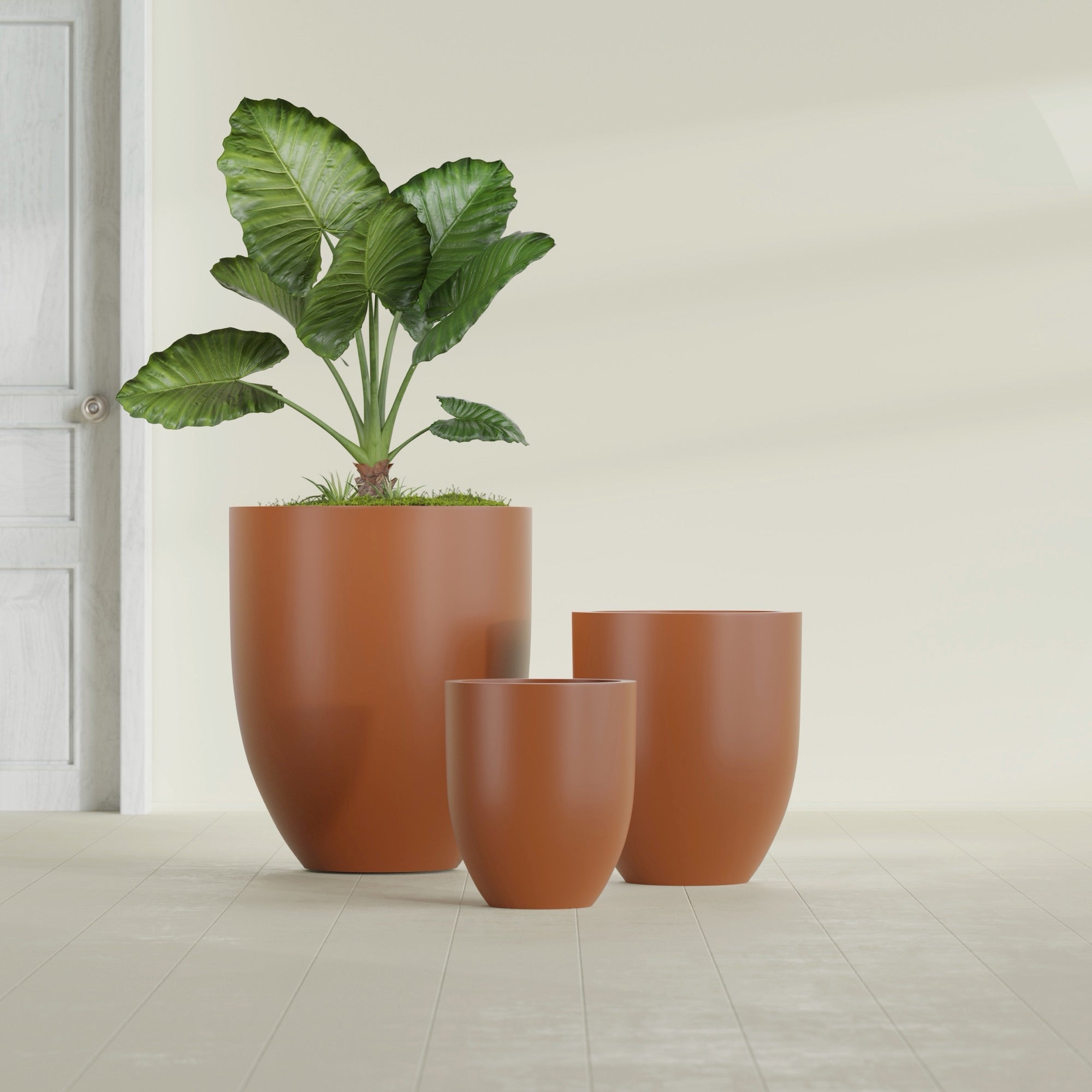 Valencia Medium Round Fiberglass Planter - 20 in x 20 in x 23 in - Matte Terracotta - Matte Terracotta,20 in x 20 in x 23 in