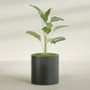 Rio Grande Medium Round Fiberglass Planter - 22 in x 22 in x 22 in - Matte Charcoal - Matte Charcoal,22 in x 22 in x 22 in