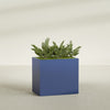 Brisbane Large Rectangle Fiberglass Planter - 36 in x 24 in x 32 in - Matte Cobalt Blue - Matte Cobalt Blue,36 in x 24 in x 32 in