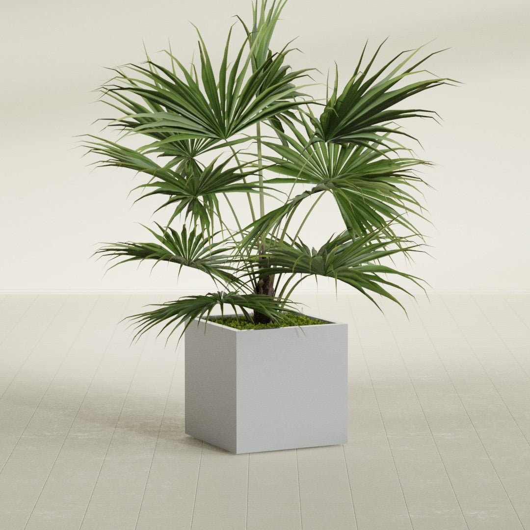 Montroy Medium Cube Square Fiberglass Planter - 24 in x 24 in x 24 in - Metallic Silver - Metallic Silver,24 in x 24 in x 24 in