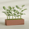 Torino Extra Large Wide Rectangle Fiberglass Planter - 60 in x 24 in x 18 in - Matte Terracotta - Matte Terracotta,60 in x 24 in x 18 in
