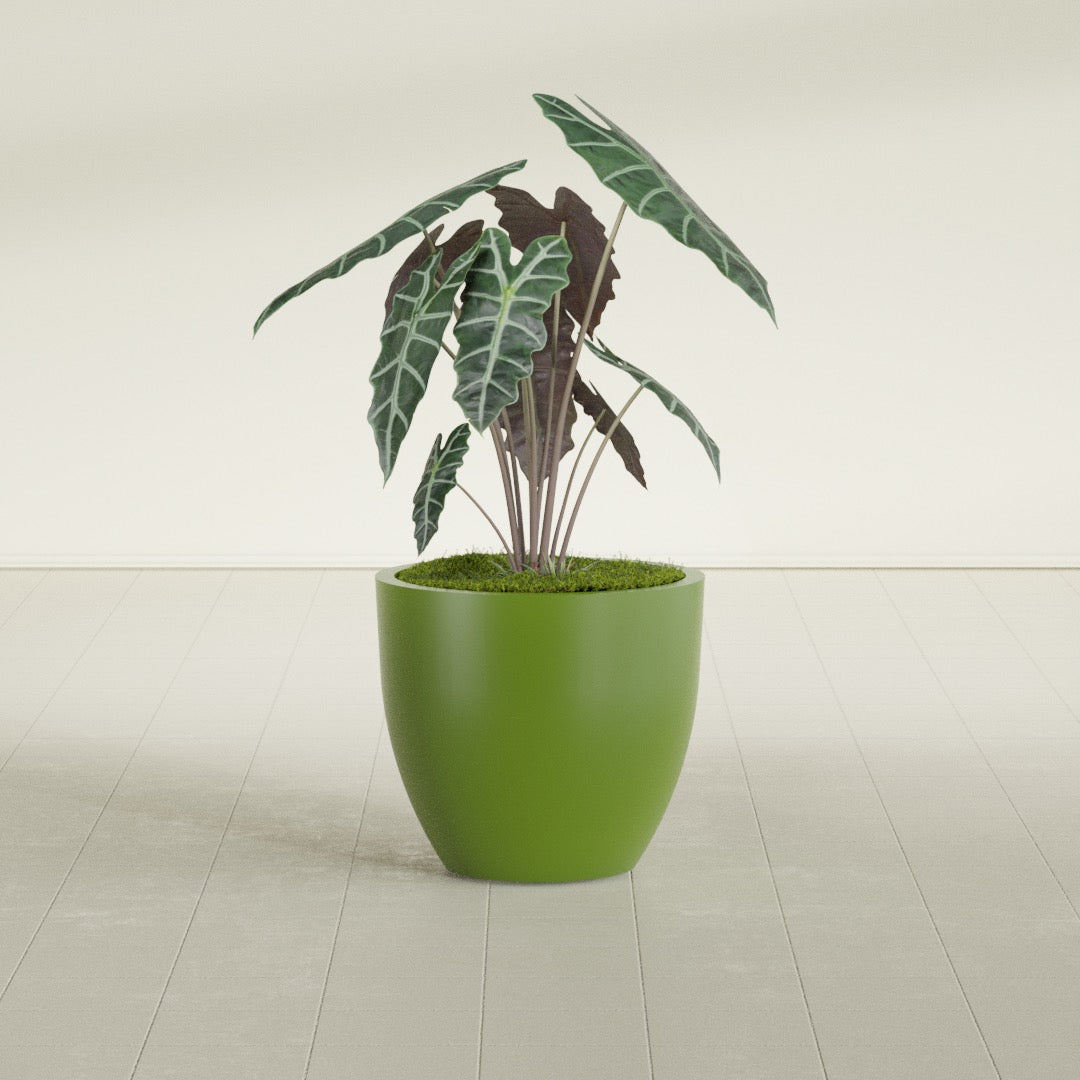 Wannsee Medium Round Fiberglass Planter - 27 in x 27 in x 24 in - Satin Green - Satin Green,27 in x 27 in x 24 in
