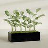 Torino Extra Large Wide Rectangle Fiberglass Planter - 60 in x 24 in x 18 in - Gloss Black - Gloss Black,60 in x 24 in x 18 in