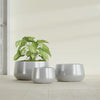 Short Hayden Medium Round Fiberglass Planter - 20 in x 20 in x 10 in - Metallic Silver - Metallic Silver,20 in x 20 in x 10 in