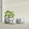 Short Hayden Small Round Fiberglass Planter - 12 in x 12 in x 7 in - Metallic Silver - Metallic Silver,12 in x 12 in x 7 in