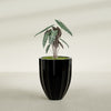 Alicante Medium Round Fiberglass Planter - 22 in x 22 in x 27 in - Gloss Black - Gloss Black,22 in x 22 in x 27 in