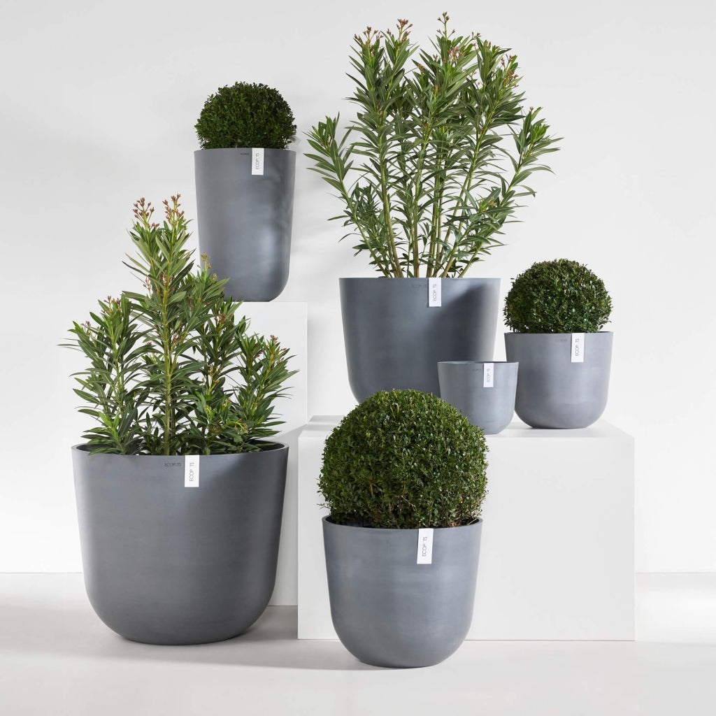 Oslo - 9.8in diam. x 8.5in