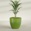 Wannsee Extra Large Round Fiberglass Planter - 50 in x 50 in x 44 in - Satin Green - Satin Green,50 in x 50 in x 44 in