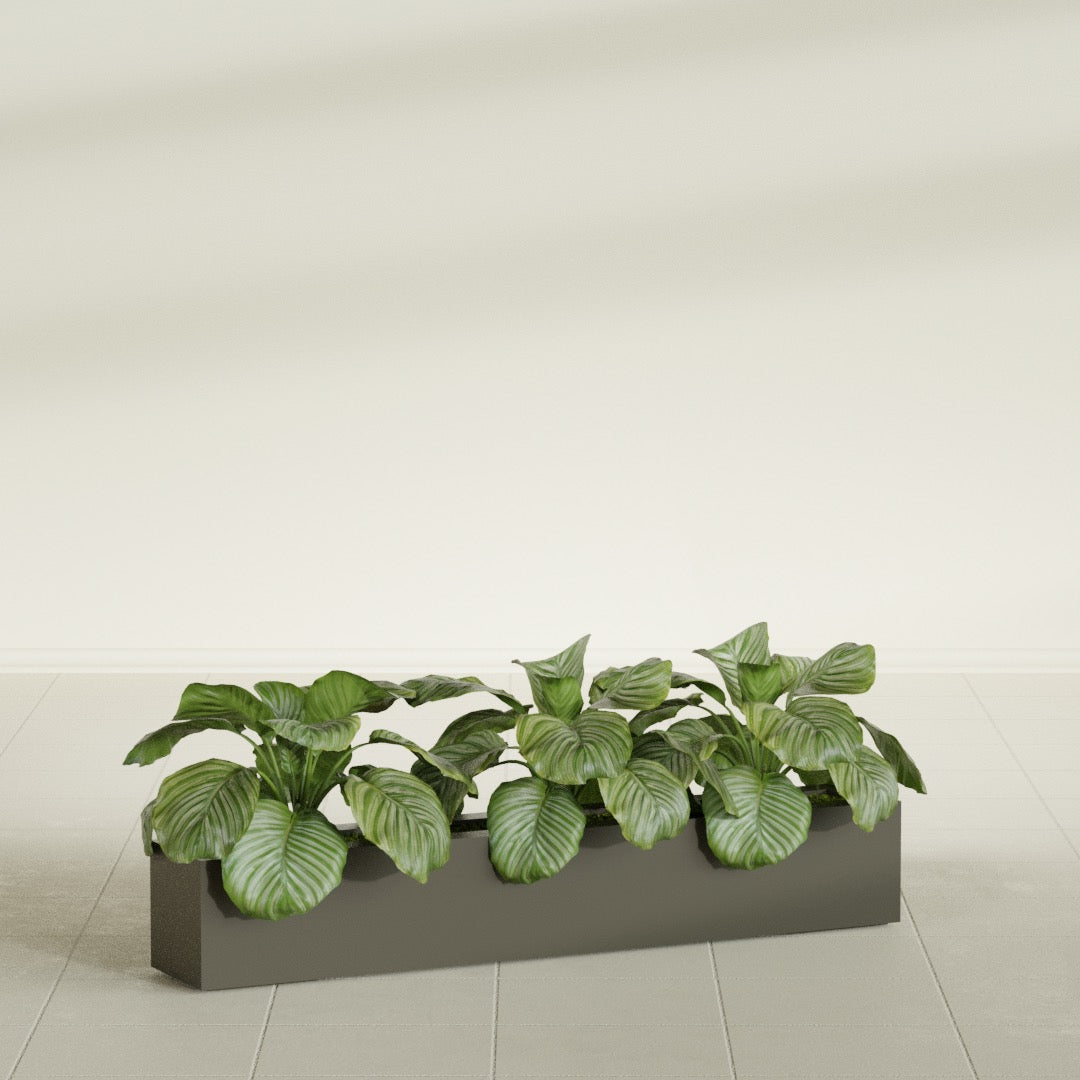Salon Large Tall Rectangle Fiberglass Planter - 48 in x 8 in x 8 in - Matte Bronze - Matte Bronze,48 in x 8 in x 8 in