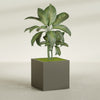 Montroy Large Cube Square Fiberglass Planter - 36 in x 36 in x 36 in - Matte Bronze - Matte Bronze,36 in x 36 in x 36 in