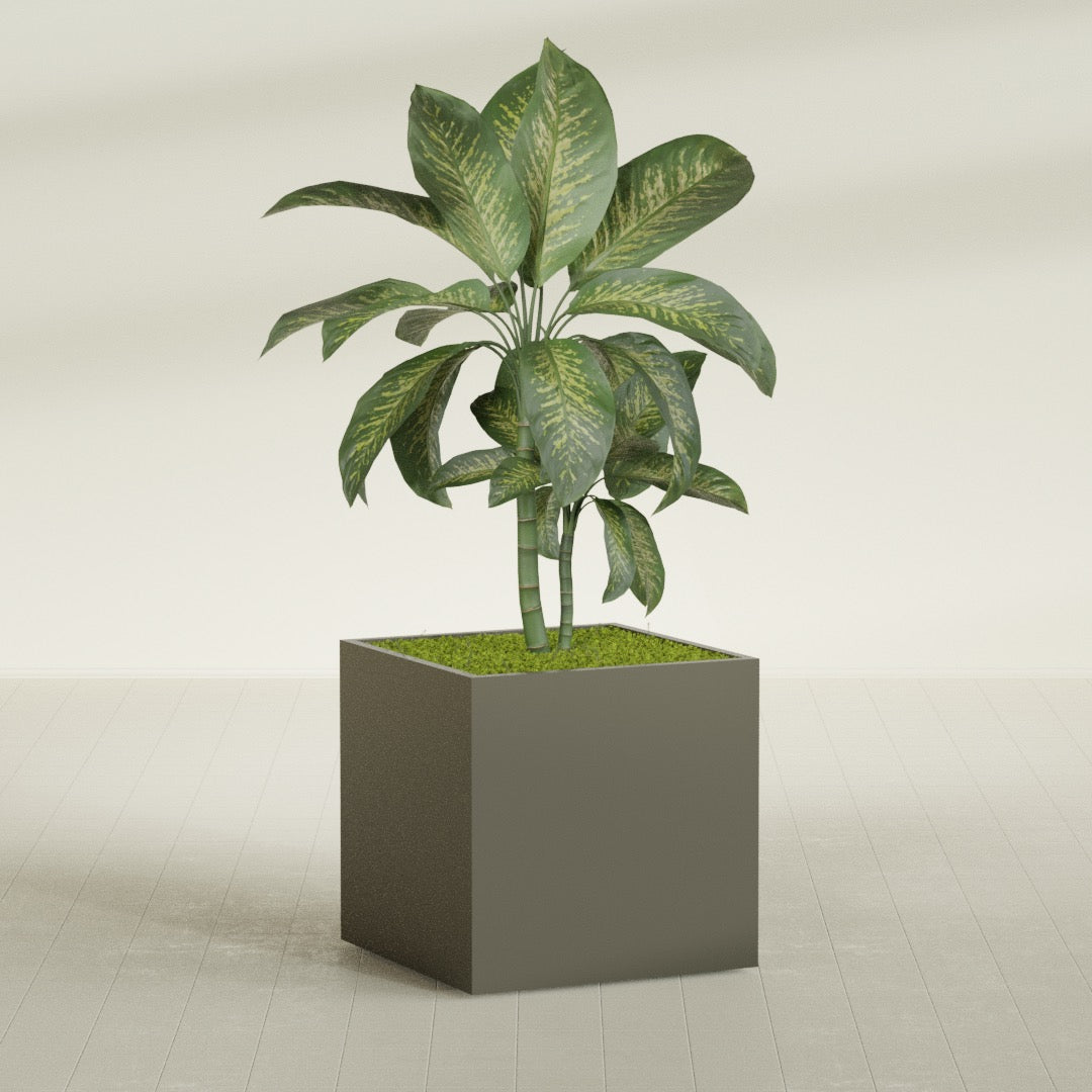 Montroy Large Cube Square Fiberglass Planter - 36 in x 36 in x 36 in - Matte Bronze - Matte Bronze,36 in x 36 in x 36 in