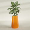 Saigon Extra Large Tapered Round Planter - 19 in x 24 in x 42 in - Gloss Tangerine - Gloss Tangerine,19.2 in x 24.2 in x 42 in